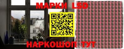 стаф Новодвинск