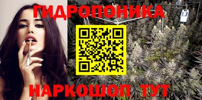 стаф Новодвинск