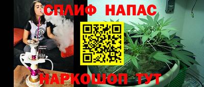 МДПВ Новозыбков