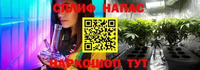 стаф Новодвинск