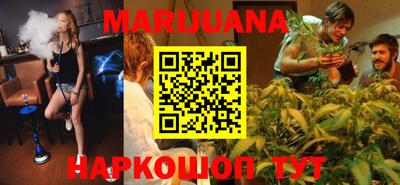 МДПВ Новозыбков