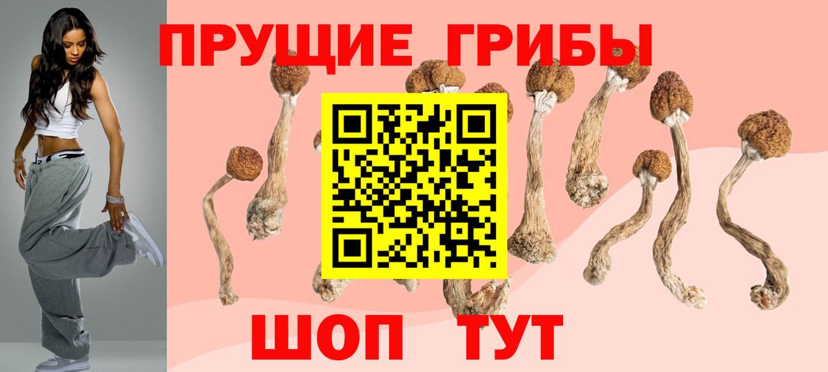 Псилоцибиновые грибы Magic Shrooms Шебекино