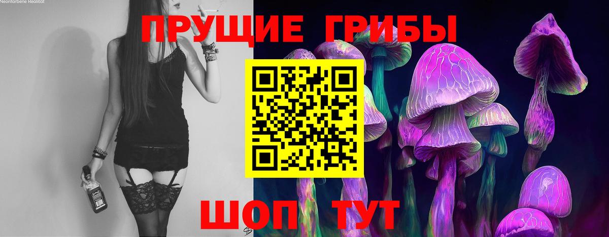 ГАШ Шебекино