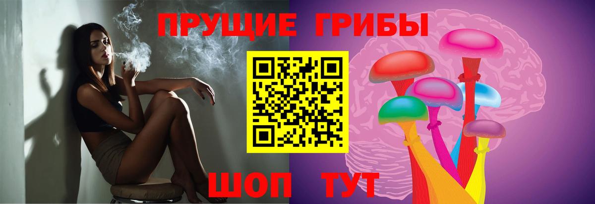 Шебекино  Псилоцибиновые грибы Cubensis  Вход с VPN  Псилоцибиновые грибы Psilocybine cubensis 